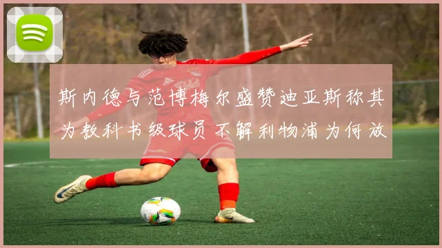 斯内德与范博梅尔盛赞迪亚斯称其为教科书级球员不解利物浦为何放弃他