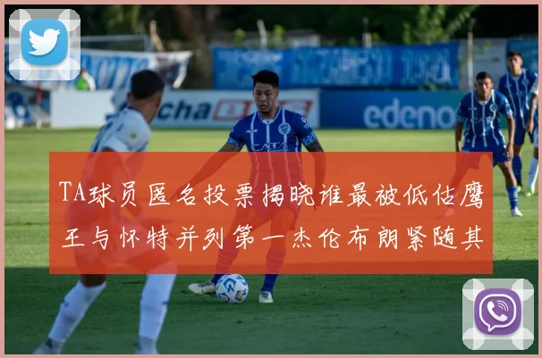 TA球员匿名投票揭晓谁最被低估鹰王与怀特并列第一杰伦布朗紧随其后