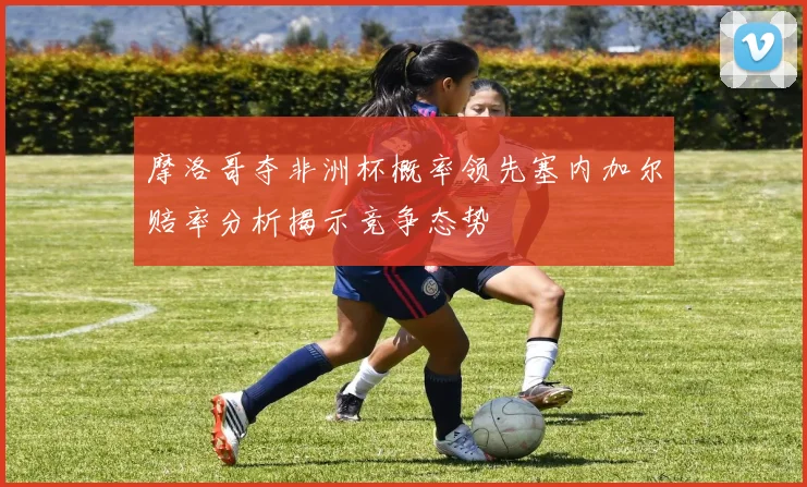 摩洛哥夺非洲杯概率领先塞内加尔赔率分析揭示竞争态势